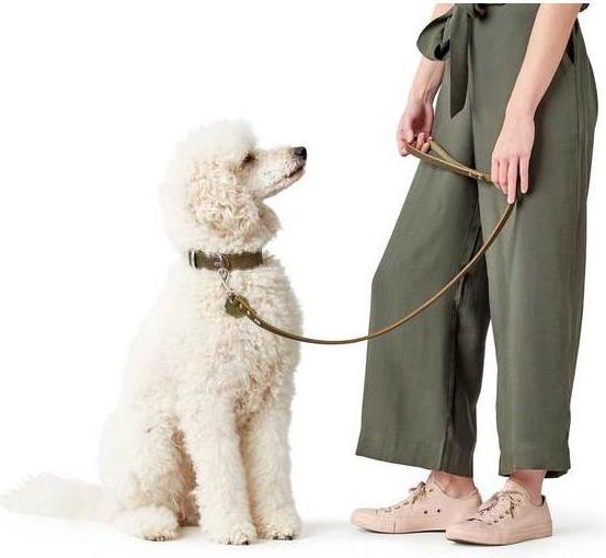 Produktbild Hunter Halsband Aalborg (28, 29, 30, 31, 32, 33, Hund, Hundesport)