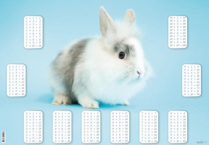 Actual product image Eibert Visual Swiss flash card (40 x 60 cm)