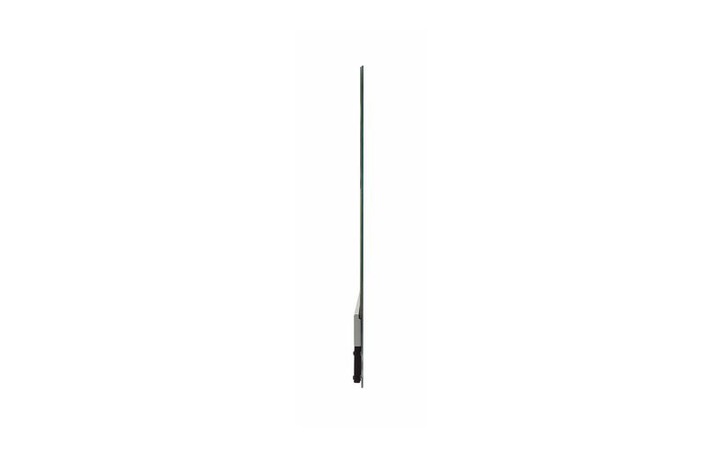 Actual product image LG Prof. Display 30EW5TP-A (OLED) (1366 x 768 pixels, 30")