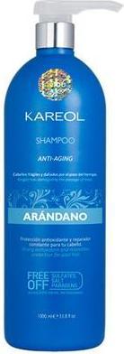 Image du produit Kareol Arandano Shampoo 1000ml (1000 ml, Shampoing liquide)