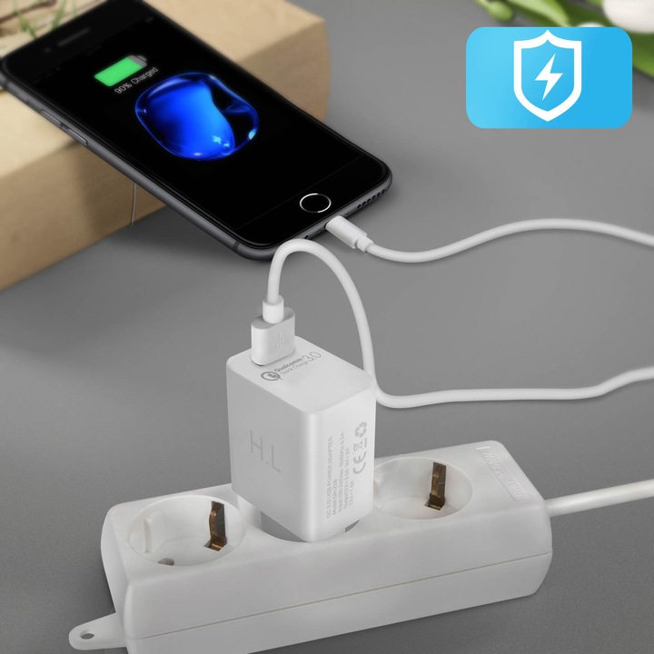 Actual product image Avizar Qualcomm Quick Charge 3.0 3A power adapter + Lightning cable (18 W)