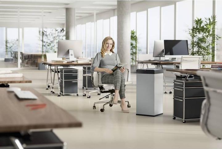 Actual product image Hailo Big-Box Swing XL (52 l)