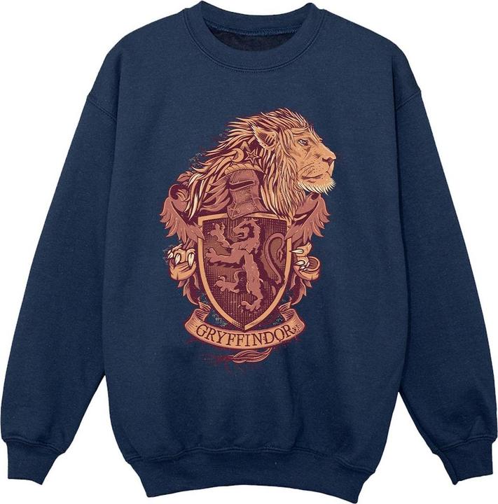 Image du produit - Sweat GRYFFINDOR SKETCH CREST - Fille (140, 146)