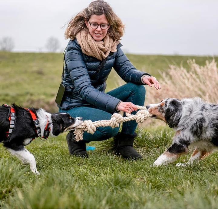 Actual product image Nobby Dog Toy Knot Rope, Nature (Dog chew toy)