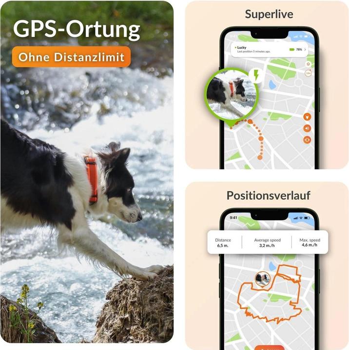Image du produit Weenect Traceur GPS (XL, Chien, Général)