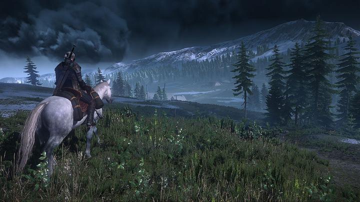 Actual product image Bandai Namco The Witcher 3: Wild Hunt - GOTY (PS4, Multilingual)