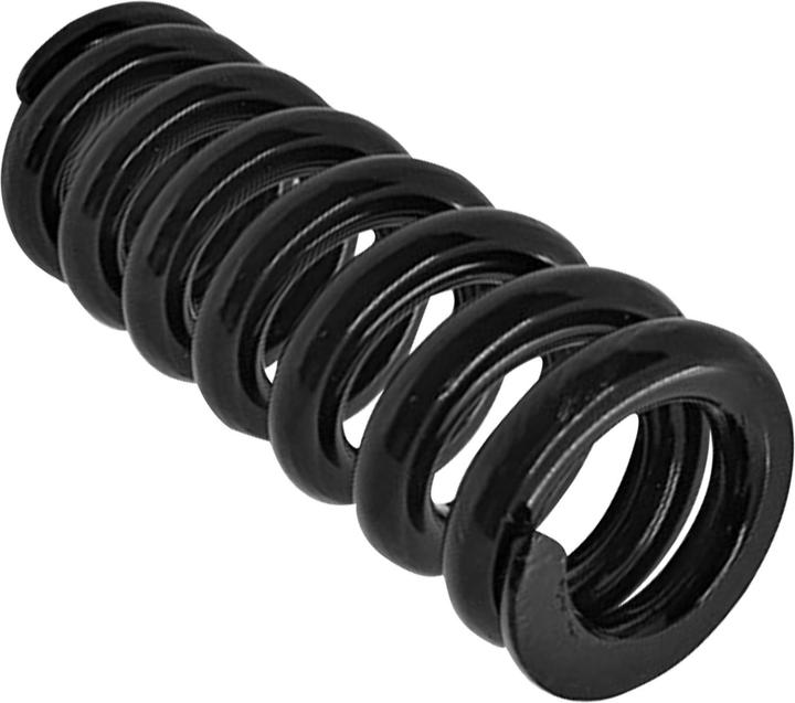 Actual product image Avizar Replacement spring for front and rear suspension
