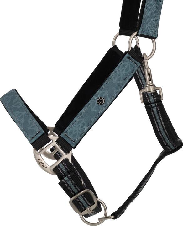 Image du produit Qhp Ensemble licol et longe pour cheval