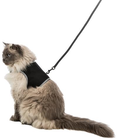 Immagine prodotto Trixie Vita più sicura (XL, Gatto, Generale)
