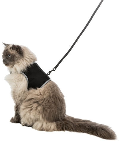 Actual product image Trixie Safer Life (XL, Cat, General)