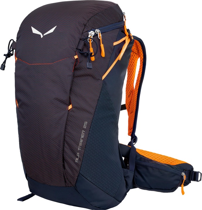 Actual product image Salewa Alp Trainer 25 (25 l)
