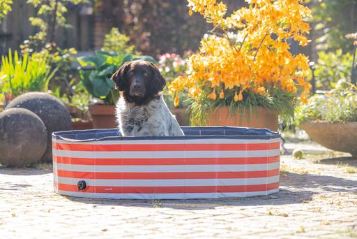 Produktbild Beeztees Hundepool Doggy Dip (Hundepool)