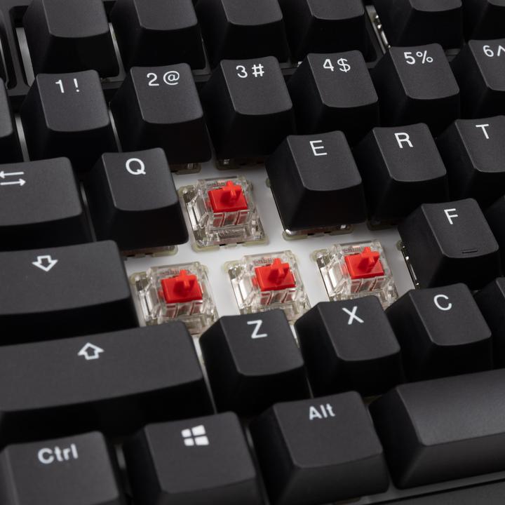 Actual product image Ducky Tinker 75 Gaming Keyboard, RGB - MX-Red (ANSI) (US, Cable)