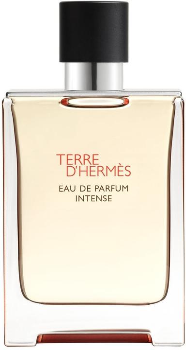 Hermès Terre d'Hermes (Eau de Parfum, 100 ml)