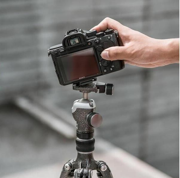 Image du produit Pgytech Adaptateur Beetle Clip pour caméra (Divers)