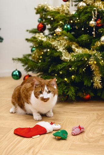 Actual product image Beeztees Christmas toys for cats (Plush toy cat)