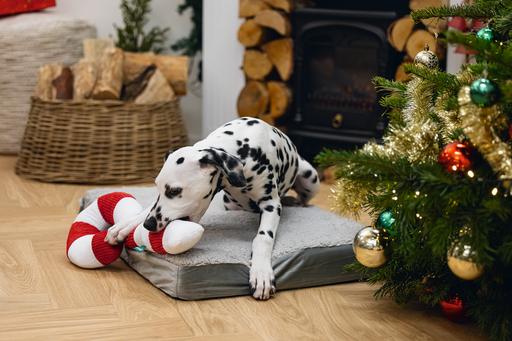 Immagine prodotto Beeztees Giocattoli di Natale (Gioco da masticare per cani)