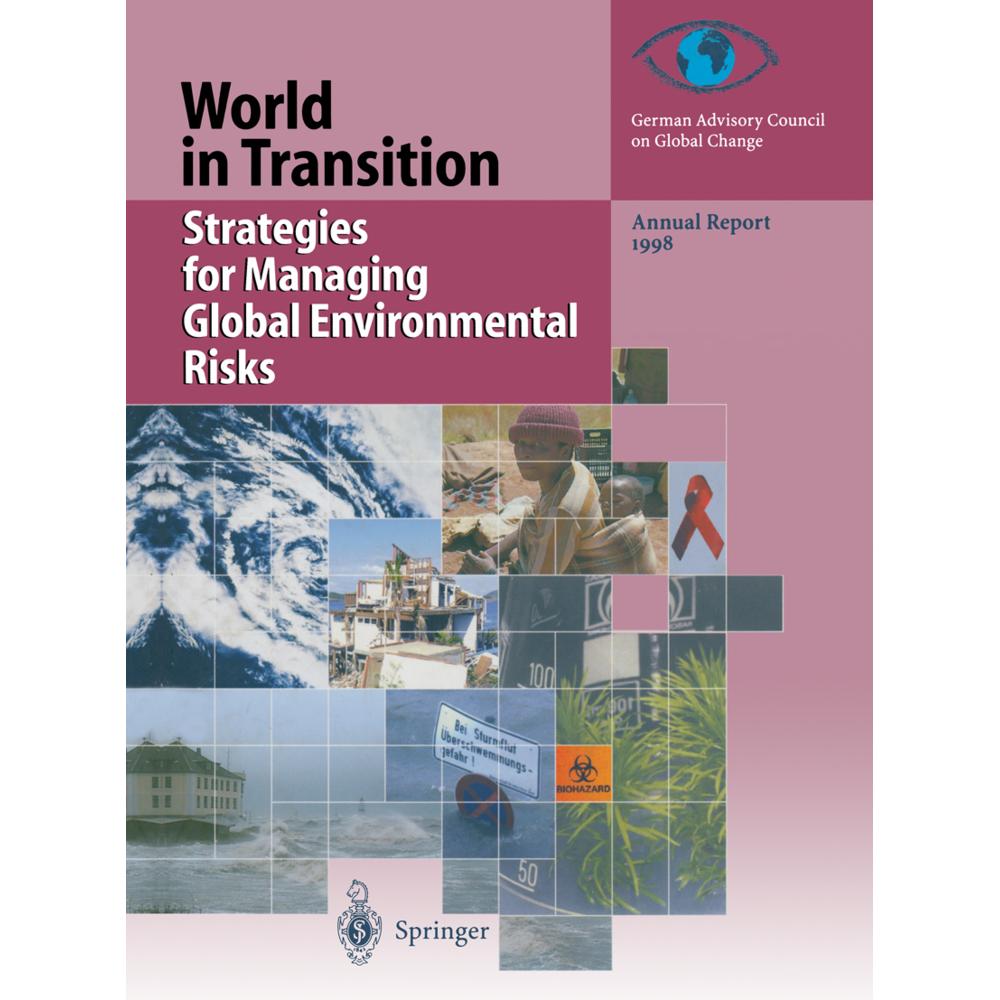 Strategies for Managing Global Environmental Risks, Fachbücher von Kenneth A. Loparo