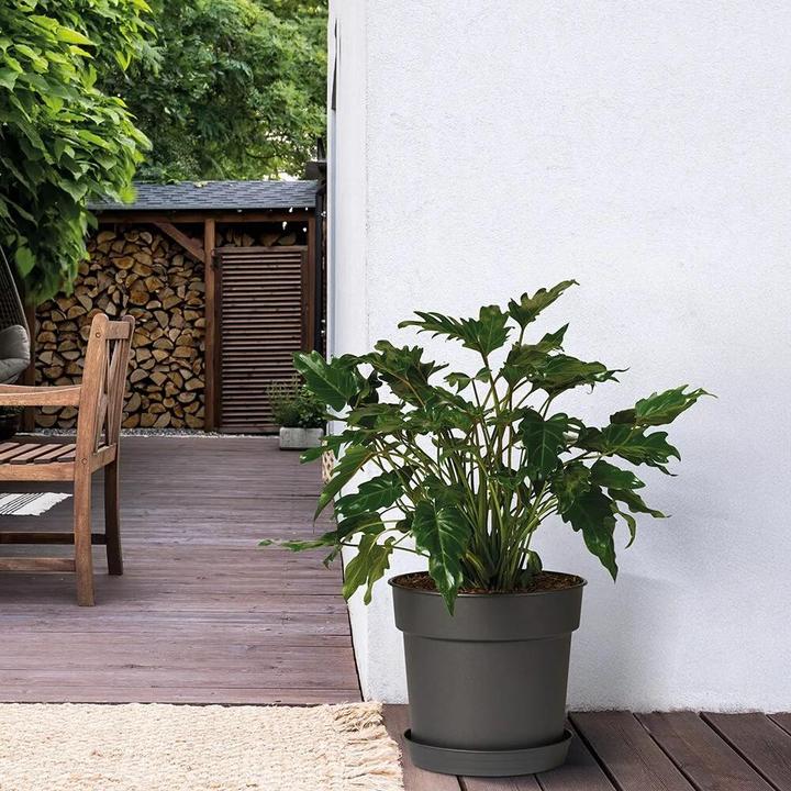 Produktbild Euro3plast Pflanzkübel Tellus Ø 40 cm anthrazit Greener (40 cm)