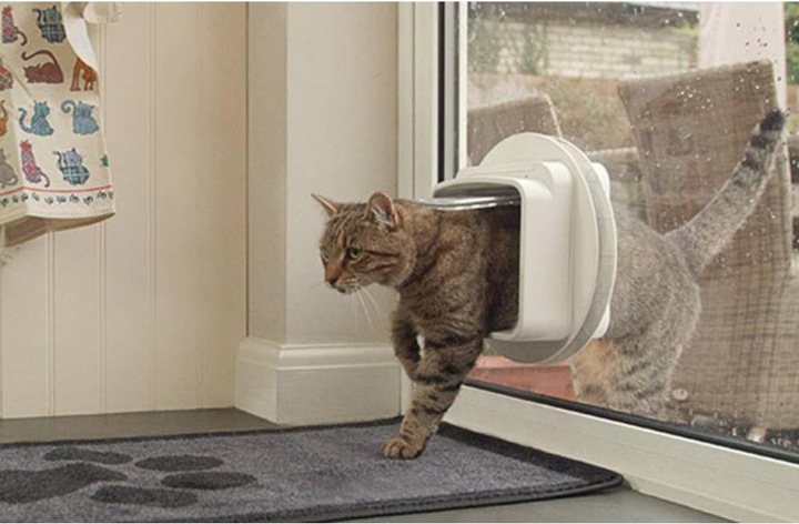 Productafbeelding SureFlap Kattendeur met dubbele scan (Microchip kattenluikje)