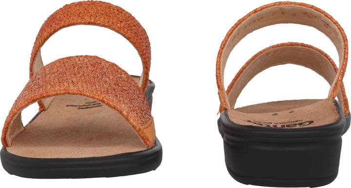 Actual product image Ganter Sonnica (40.5)