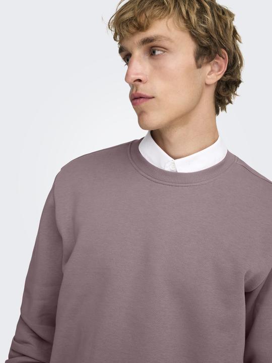 Produktbild Only & Sons Onsconnor Life Reg Crew Neck Sweat Noos (S)