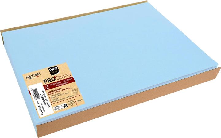 Actual product image Exacompta Placemats Spunbond S ky Blu, 30x40, PK100 (1 pcs., 30 x 40 cm)