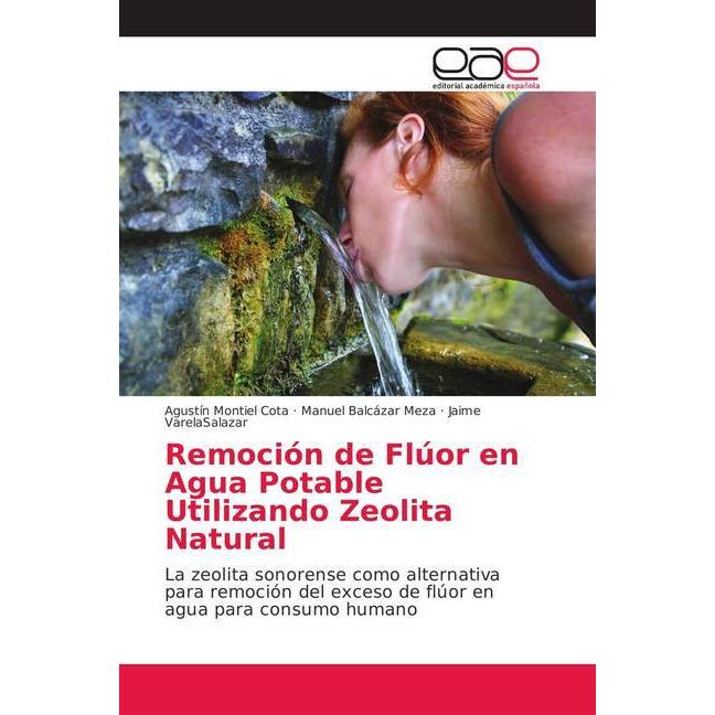 Remoción de Flúor en Agua Potable Utilizando Zeolita Natural, Fachbücher von Manuel Balcázar Meza, Agustín Montiel Cota,...