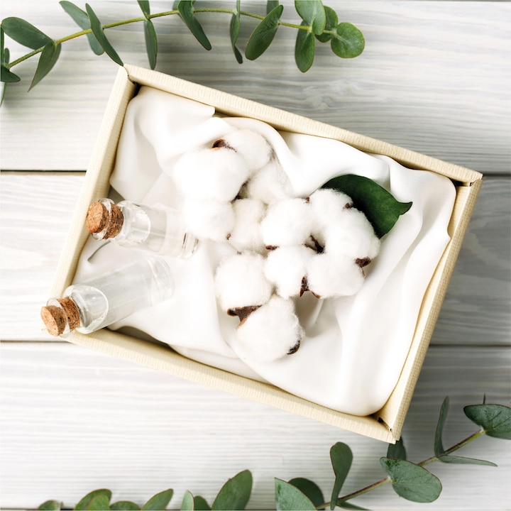 Image du produit Always Cotton Protection (48 x, Tampons sanitaires)