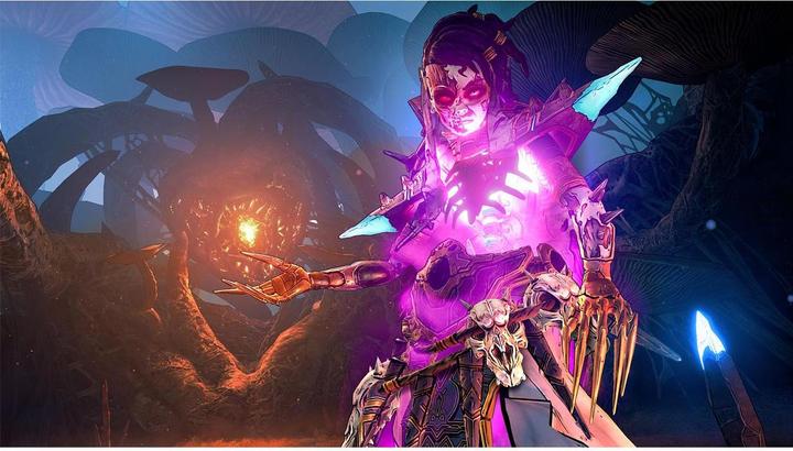 Immagine prodotto 2K Games Tiny Tina's Wonderlands Next Level Edition (Xbox Series X, Xbox One X, DE)