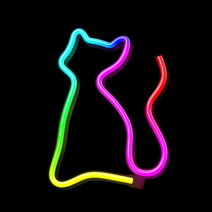 Image du produit Forever Light Néon LED RGB CAT FLRN03 + RC