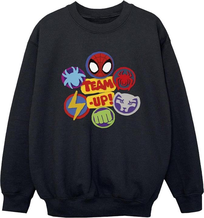 Actual product image Boys Spidey And His Amazing Friends Team Up Sweatshirt (140, 146)