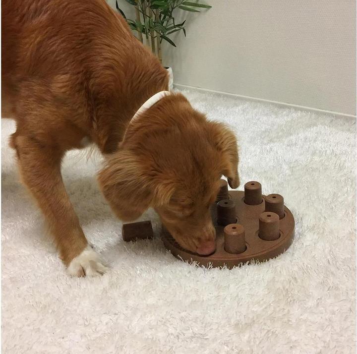 Actual product image Nina Ottosson Dog Smart CompositeLevel 1 (Intelligence toy dog)
