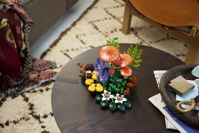 Produktbild LEGO 11505 Waldpilze (LEGO Botanicals)