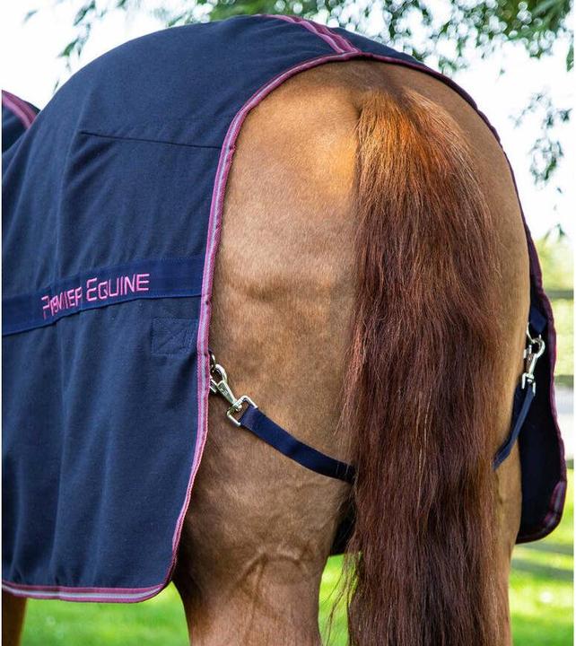 Produktbild Premier Equine Barrasso 450 g (152 cm)