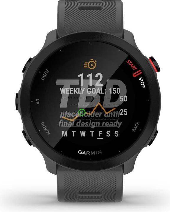 Image du produit Garmin Forerunner 55 (42 mm)