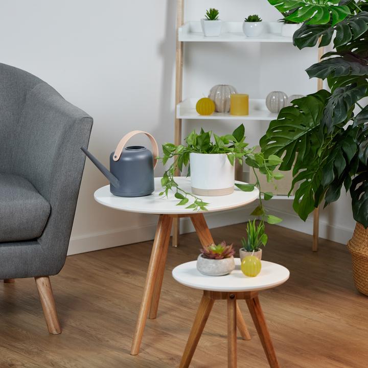 Image du produit Relaxdays 2x arrosoir (1.70 l)