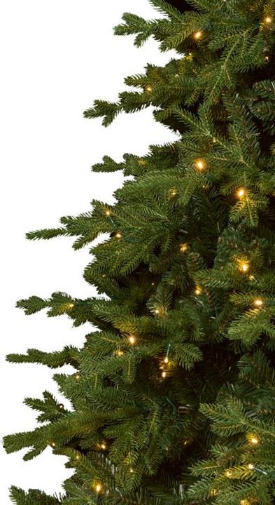Immagine prodotto STT Albero (180 cm)