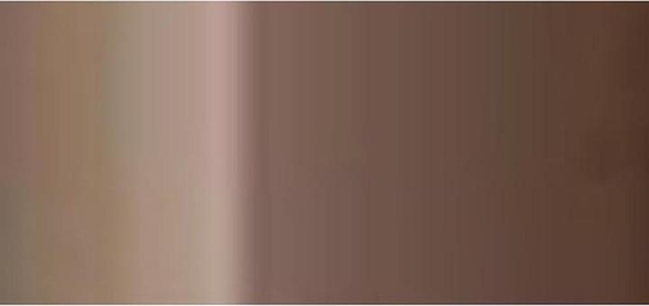 Actual product image L'Oréal Professionnel Hair Touch-Up (Tan)