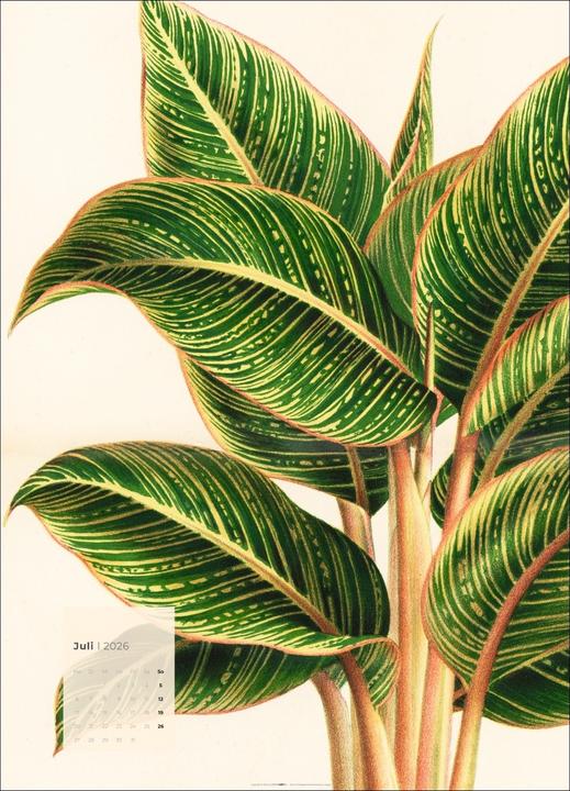 Produktbild Botanicals Kalender 2026 (49 x 68 cm)