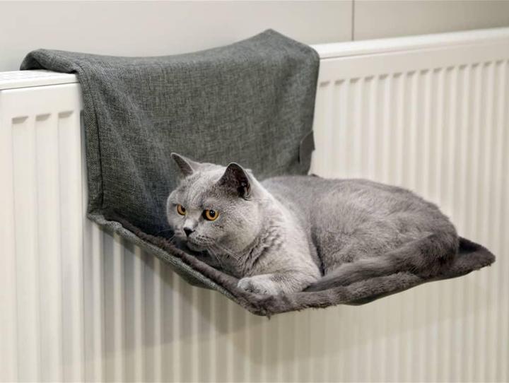 Actual product image Kerbl Paradise (Dog, Cat)