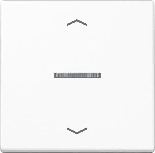 Actual product image JUNG FMAS1700PWW eNet radio control button