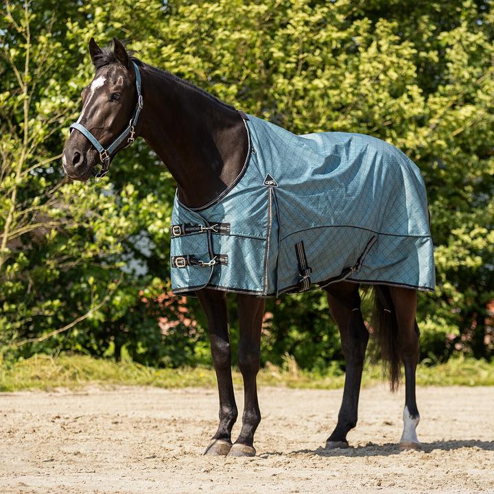 Immagine prodotto Qhp Coperta da paddock per cavalli (195 cm)