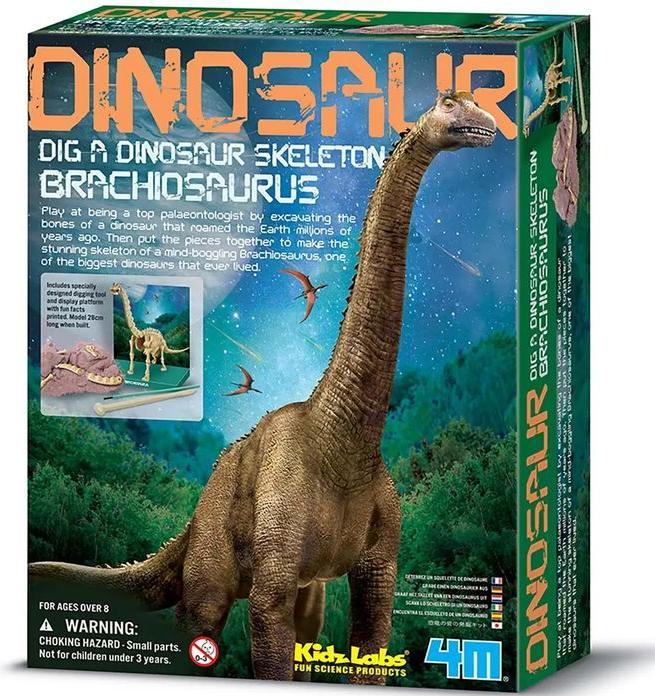 4M Fouille de dinosaures Brachiosaurus