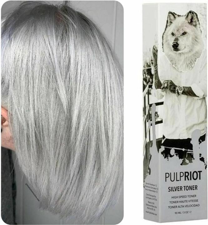 Produktbild Pulpriot High Speed Toner Silver