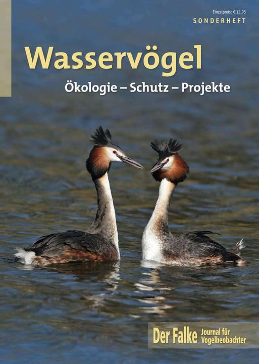 Wasservögel (Deutsch, Redaktion Der Falke, 2019)