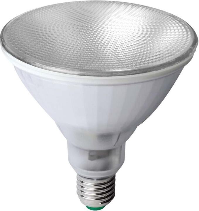 Megaman LED plant lamp (LED, 230 V)