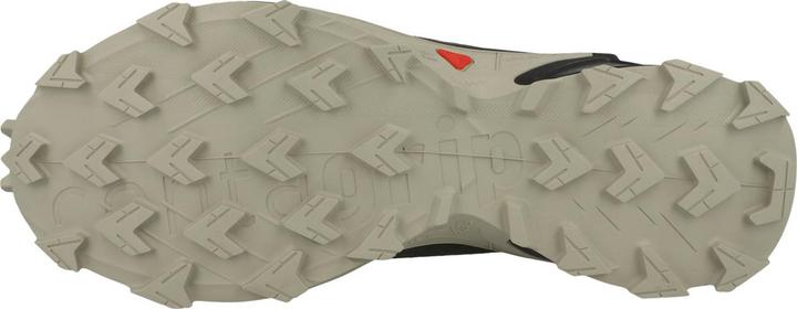 Produktbild Salomon Alphacross 4 GTX (46)