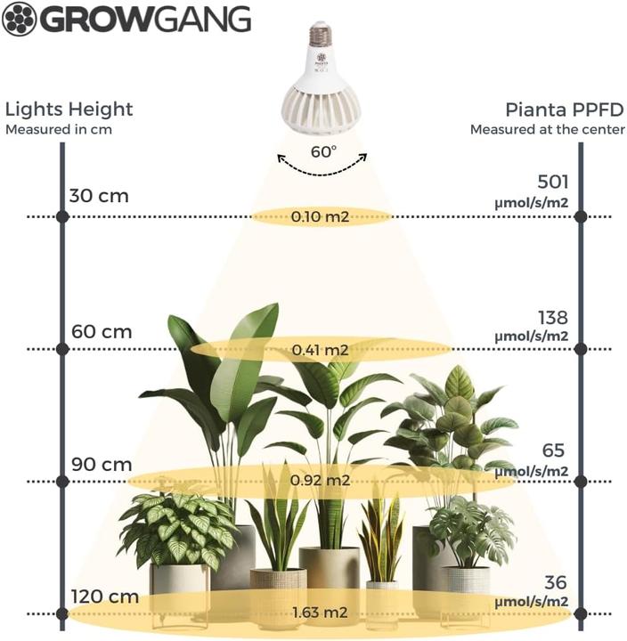 Immagine prodotto Grow Gang Vollspektrum LED Pflanzenlampe Pianta (LED)