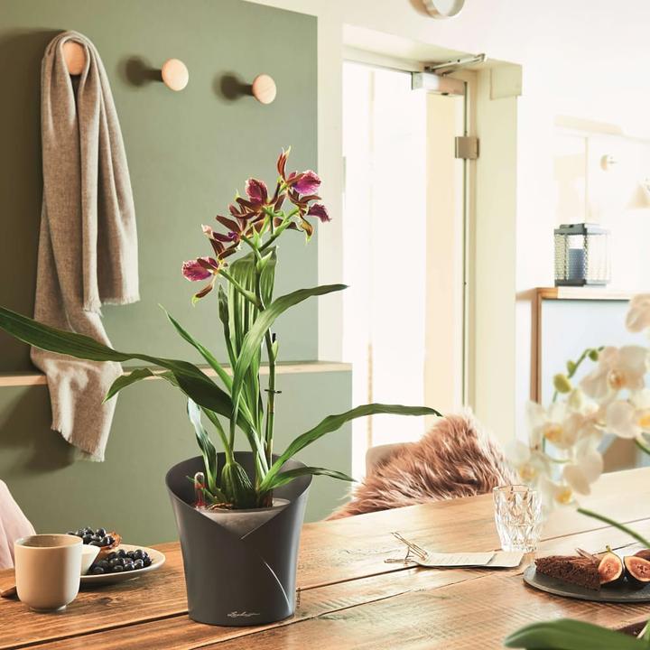 Produktbild Lechuza Orchidea (17.90 cm)